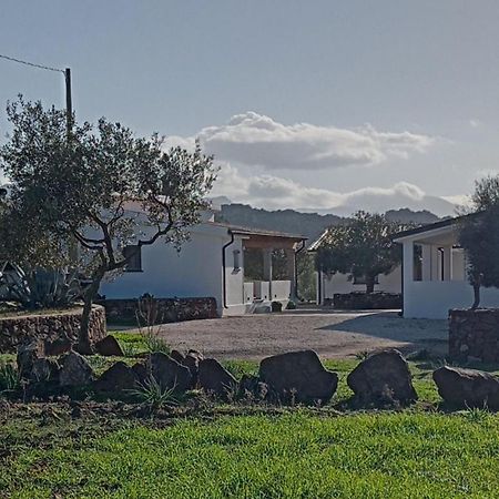 Agriturismo Sa Murta Dorgali Exterior foto