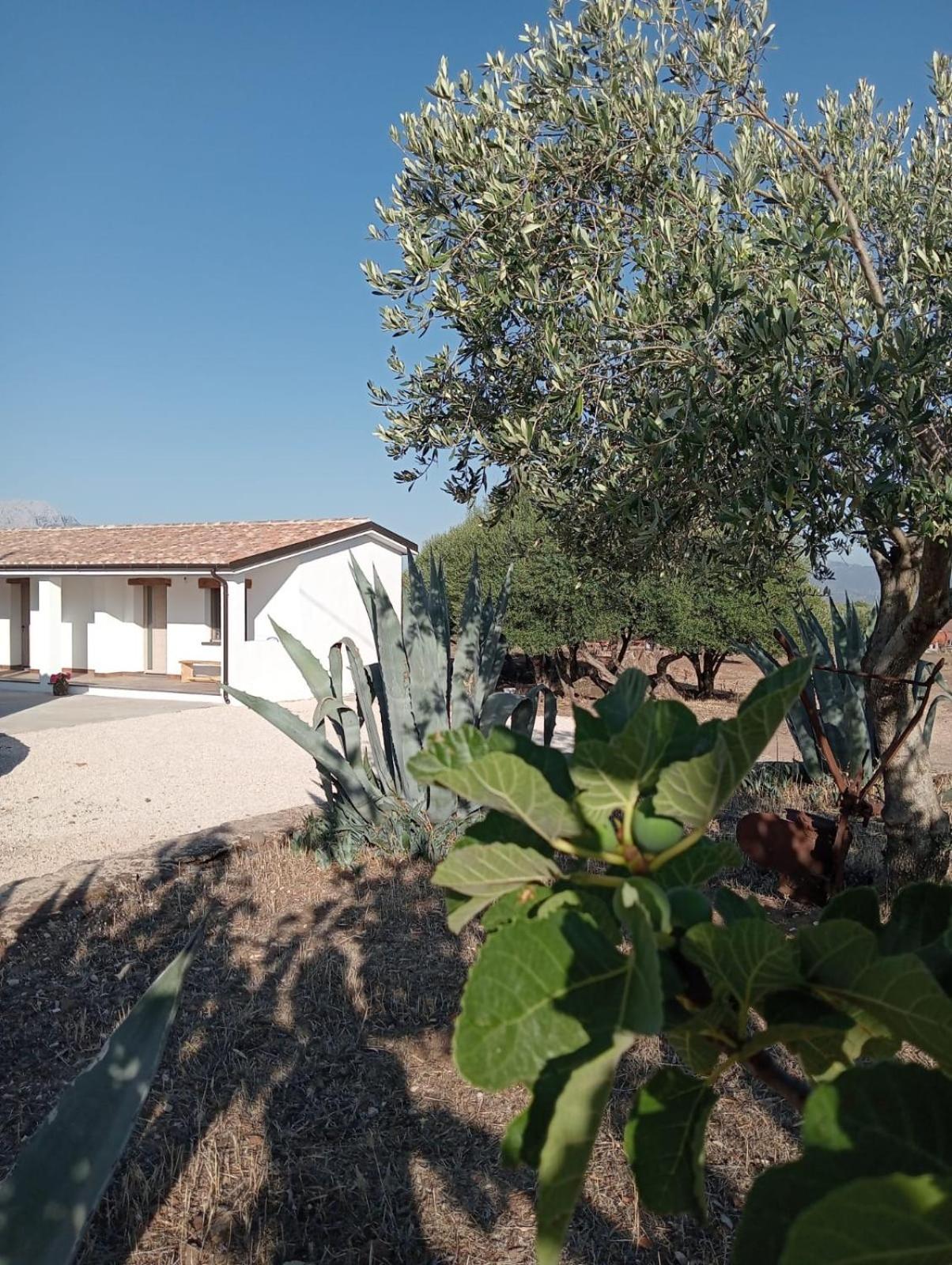 Agriturismo Sa Murta Dorgali Exterior foto